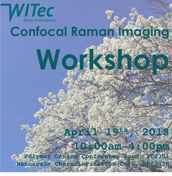 cMDIS Confocal Raman Imaging Workshop