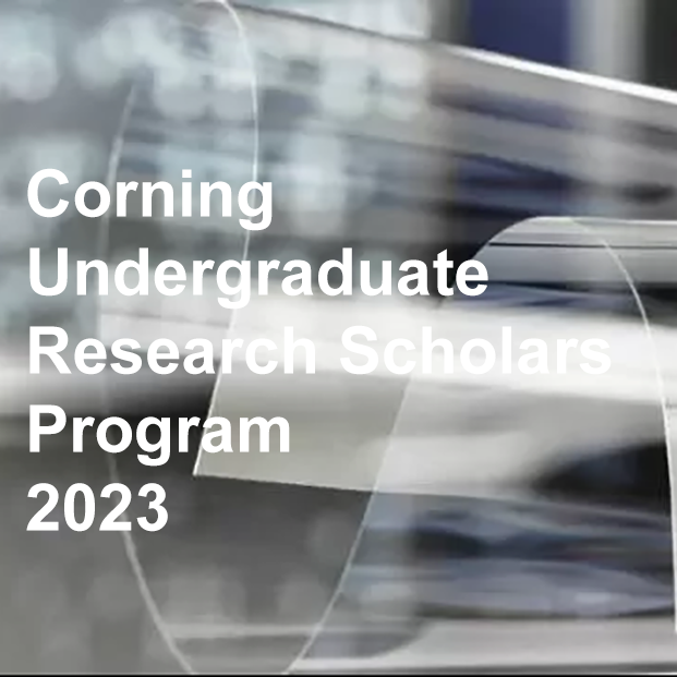 CMDIS Corning Undergraduate Scholars Program 2023