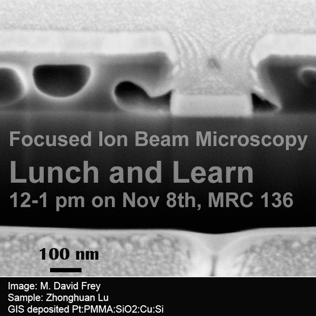 Focused Ion Beam (FIB) microscopy: Lunch and Learn