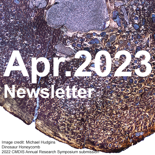 CMDIS Newsletter - April 2023