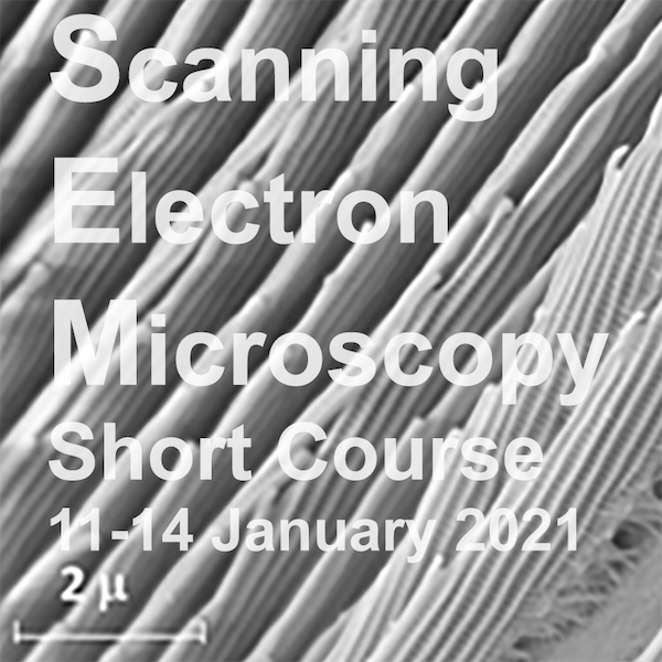 CMDIS Scanning Electron Microscopy Short Course